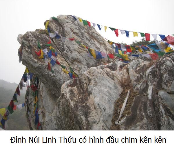 TOUR DU LỊCH ẤN ĐỘ NƠI VỀ ĐẤT PHẬT