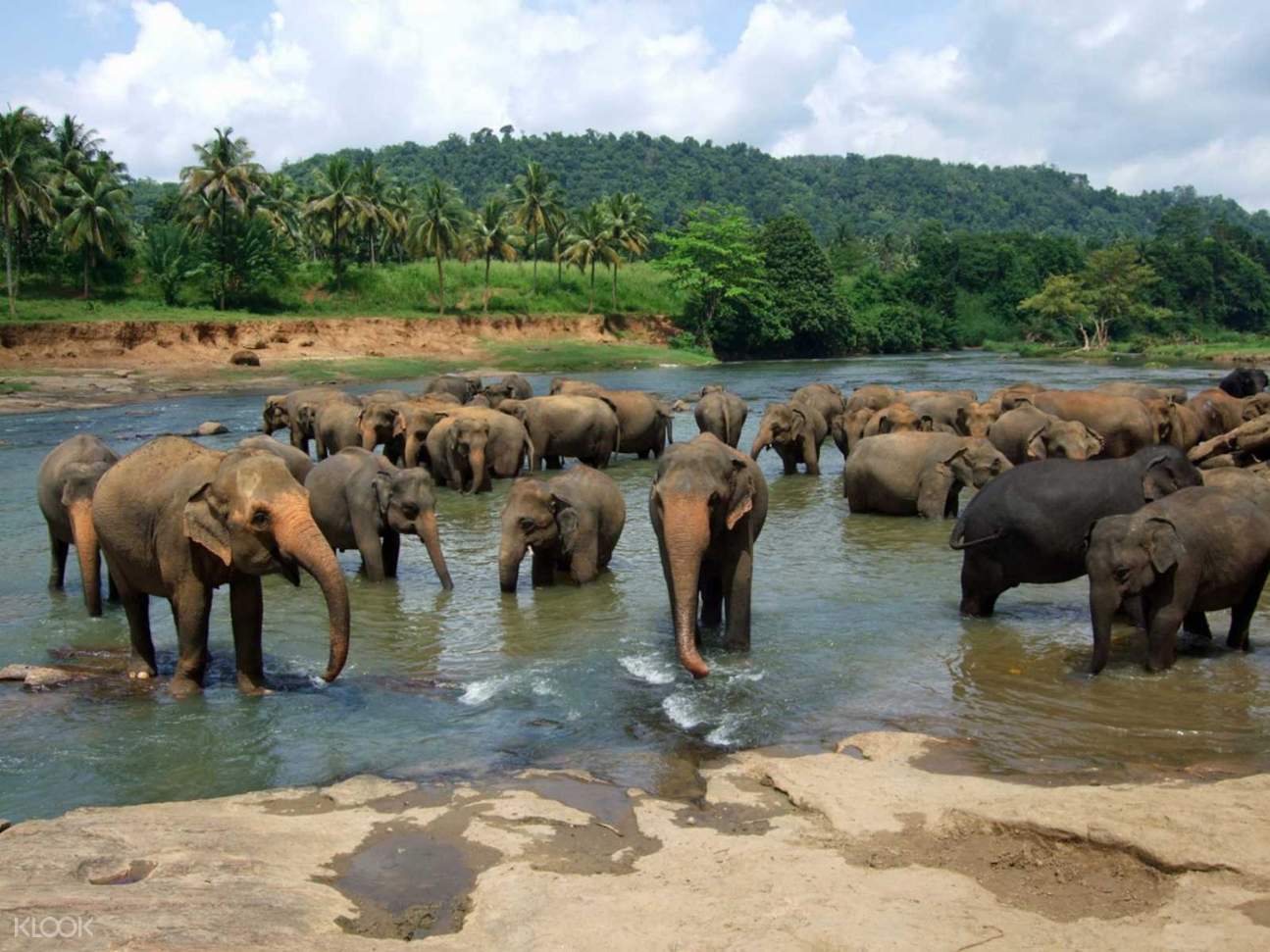 DU LỊCH SRI LANKA - TÍCH LAN - XỨ SỞ DIỆU KÌ