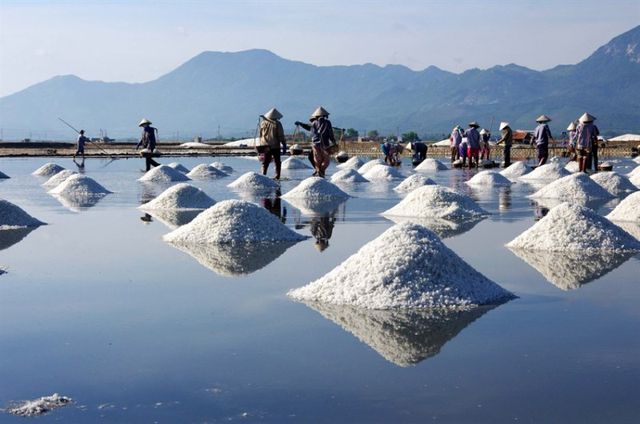 DU LỊCH NHA TRANG - ĐÀ LẠT