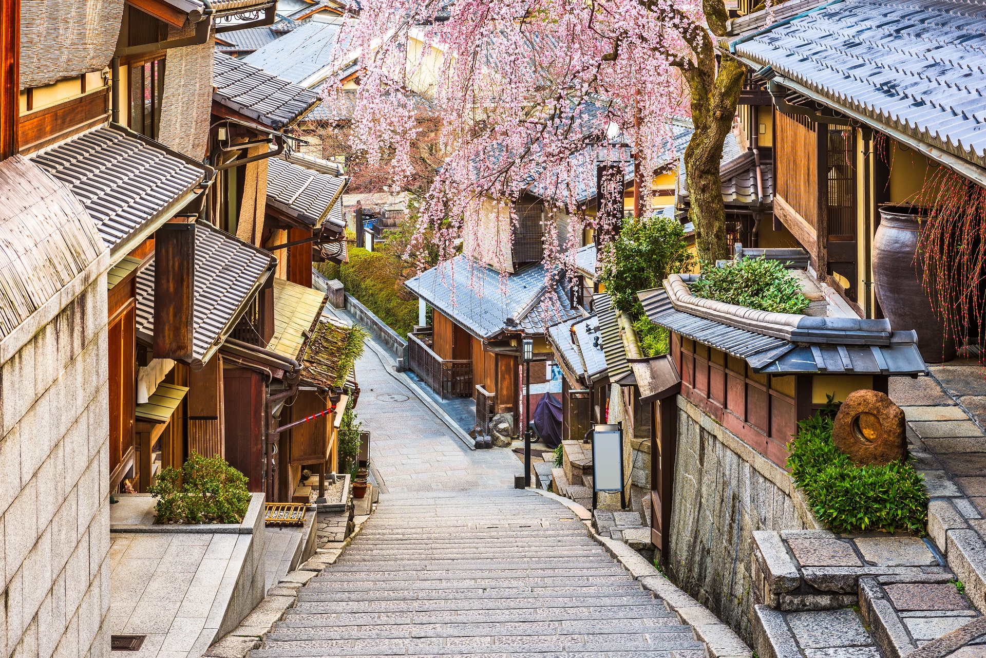 DU LỊCH NHẬT BẢN - TOKYO - HAKONE - YAMANASHI - ODAIBA