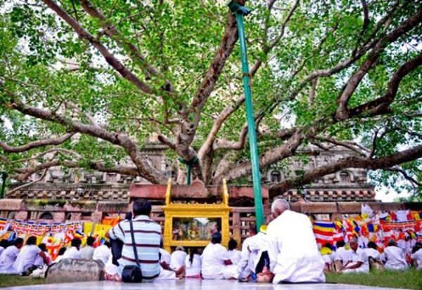 TOUR DU LỊCH ẤN ĐỘ - NEPAL