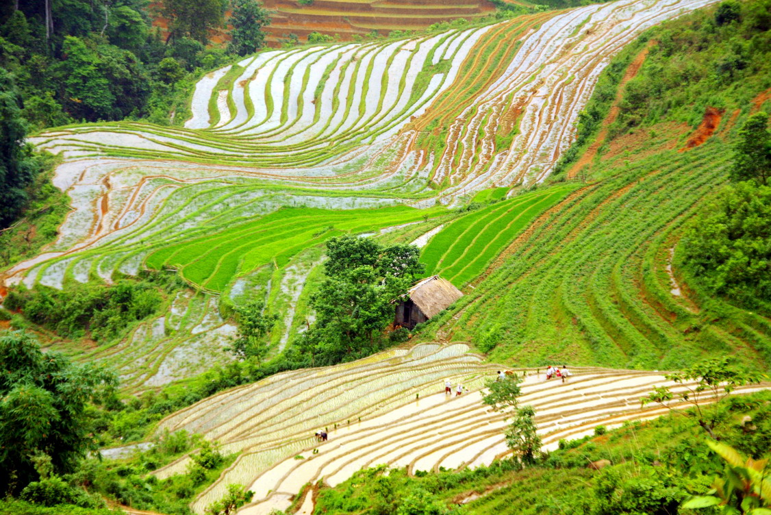 DU LỊCH HÀ NỘI - SAPA - HẠ LONG - TRÀNG AN - ĐẢO KONG - BÁI ĐÍNH